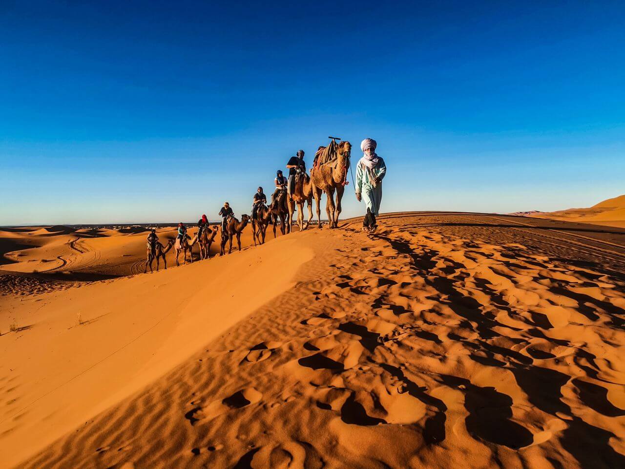 Sahara Desert